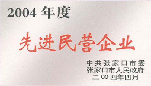 2004年底先進民營企業